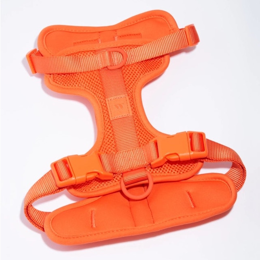 Wild One Dog Harness - Blaze - Size: XS